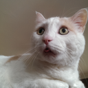 failureofimagination avatar