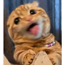 failuresquare avatar