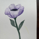 faintheartedloiterer avatar