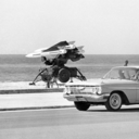 fair-wolf-maiden avatar