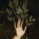 fairestcreature avatar