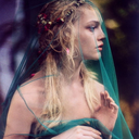 fairieforest-blog avatar