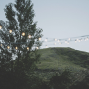 fairies-and-lights avatar