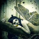 fairies-wings avatar