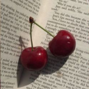 fairiesandcocaine avatar