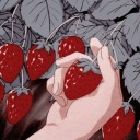 fairstrawberryy avatar