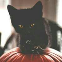 fairy-lights-on-autumn-nights avatar