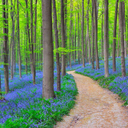 fairyfactsdaily avatar