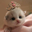 fairyglass-tells-stories avatar