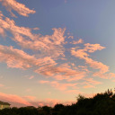 fairylightsandfireflys avatar