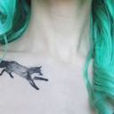 fairymatrix-blog avatar