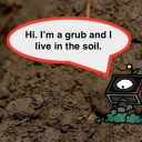 fairytale-for-computers avatar