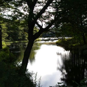 fairytalesandsacrifices avatar