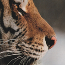 fairytalesbegininhere avatar