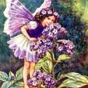 faithandfairies avatar