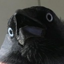 faithcraft-of-the-sea avatar