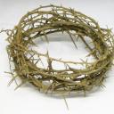 faithfully-limping avatar