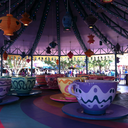 faithinwonderland-blog avatar