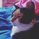 faithlessdark avatar