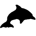 fake-dolphin avatar