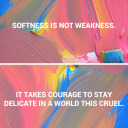 fakebriecheese avatar