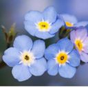 fakeourfeelings avatar