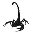 fakescorpion112 avatar