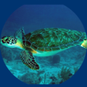 fakeworldfakeemotions avatar