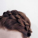 falcoperegrinus avatar