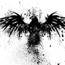 falcosilvatica avatar