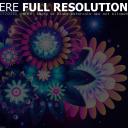 fall-out-badger avatar