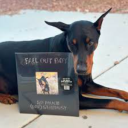 fall-out-dogs avatar