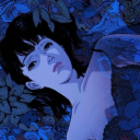 fall-out-kitten avatar