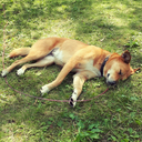 fallaster4659 avatar