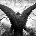 fallen-----angels avatar