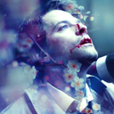 fallenangelinimpala avatar