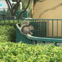 fallenhopewithinstars avatar