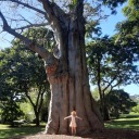 fallensandcastles avatar