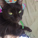 falling-for-you-mp3 avatar