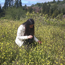 falling-hard-apart avatar