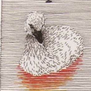 falling-in-my-own-words avatar