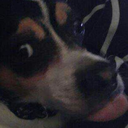 falling-into-pie avatar