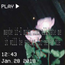 fallingdown-rabbitholes avatar