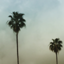 fallingfleetingfloating avatar