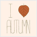 fallingintocolorfulleaves avatar