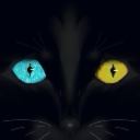 fallingintoinsanity avatar