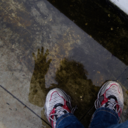 fallingpurple avatar