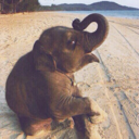 fallinq-for-your-eyes avatar