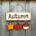 fallinqforfall avatar