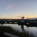 fallinto-my-arms avatar